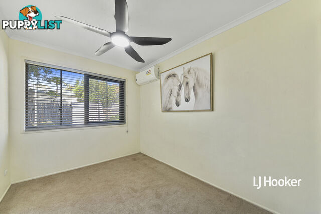 19 May Street MANGO HILL QLD 4509