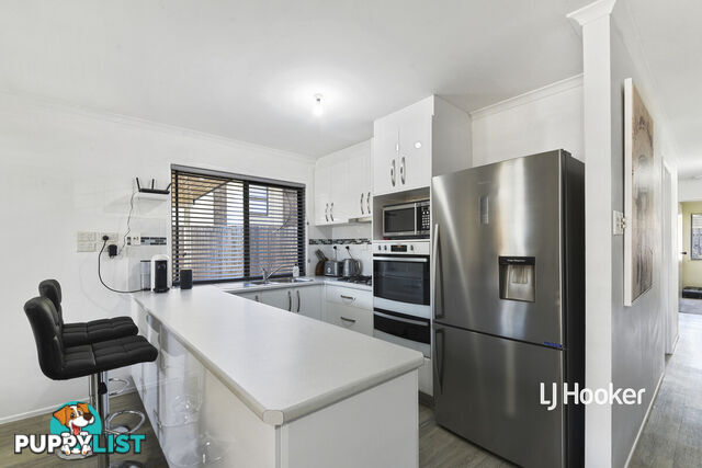 19 May Street MANGO HILL QLD 4509