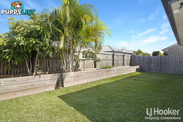 10 Graham Street MANGO HILL QLD 4509