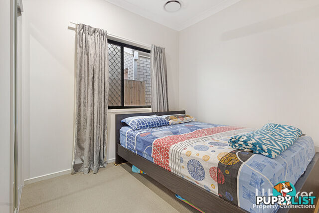 10 Graham Street MANGO HILL QLD 4509