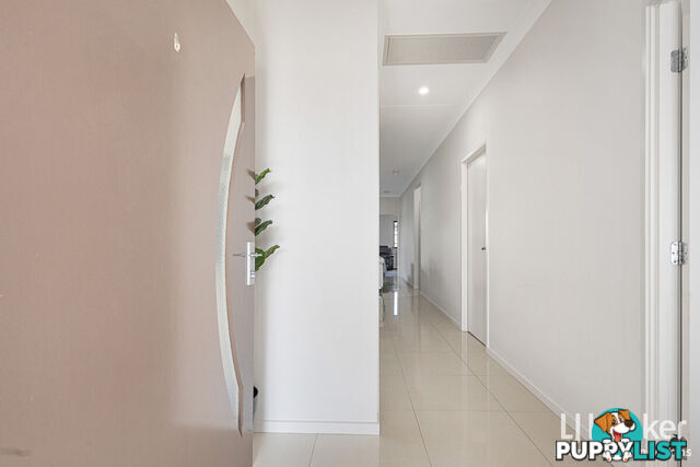10 Graham Street MANGO HILL QLD 4509