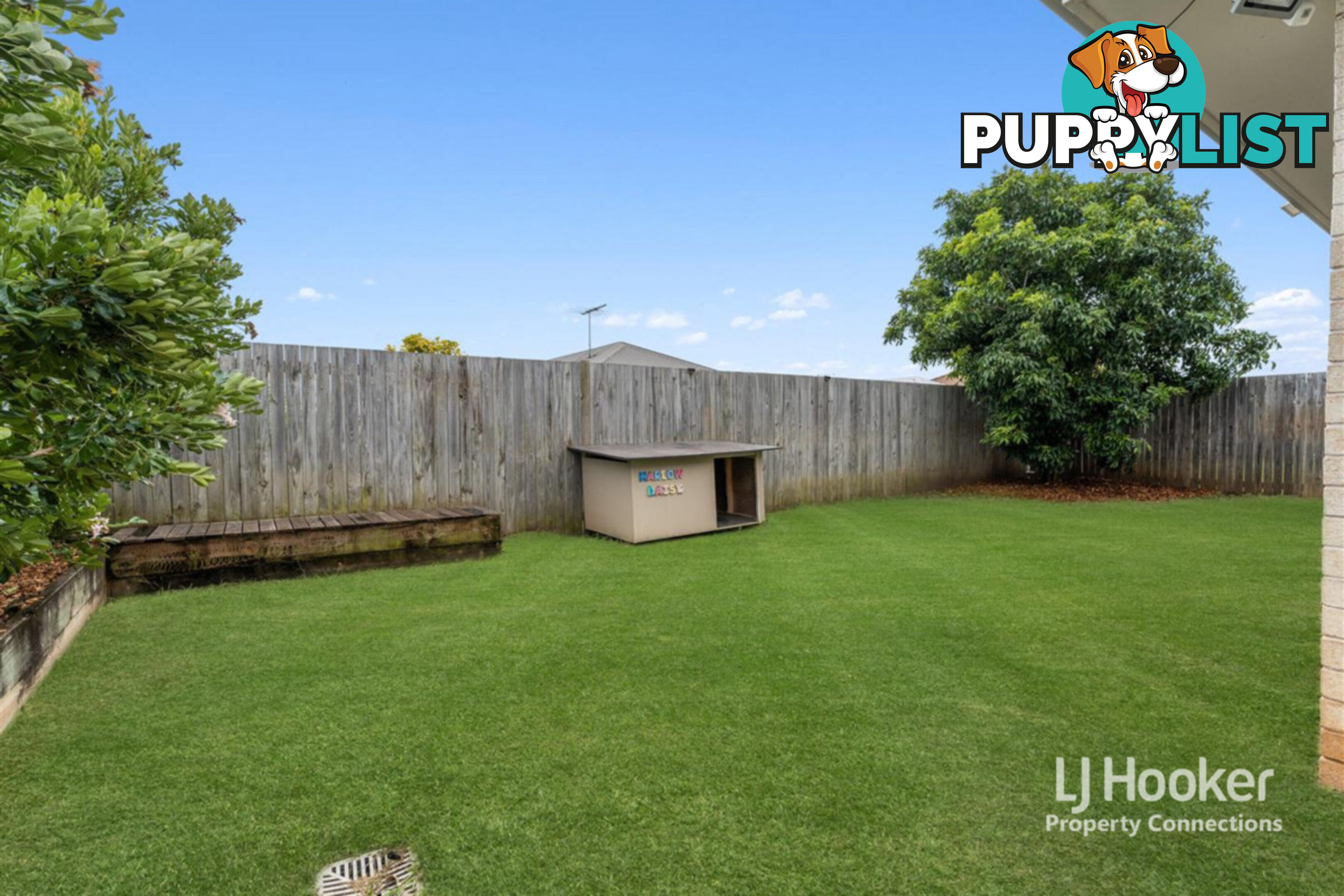 17 Swallow Street, GRIFFIN QLD 4503