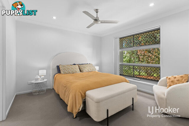 17 Swallow Street, GRIFFIN QLD 4503