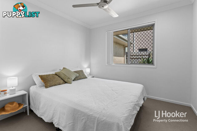 17 Swallow Street, GRIFFIN QLD 4503