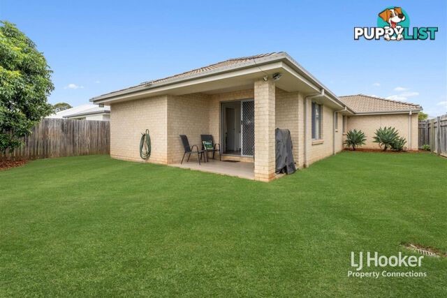 17 Swallow Street, GRIFFIN QLD 4503