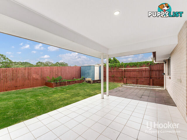 6 Elderflower Circuit GRIFFIN QLD 4503