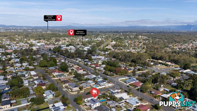 17 Johnson Street KALLANGUR QLD 4503