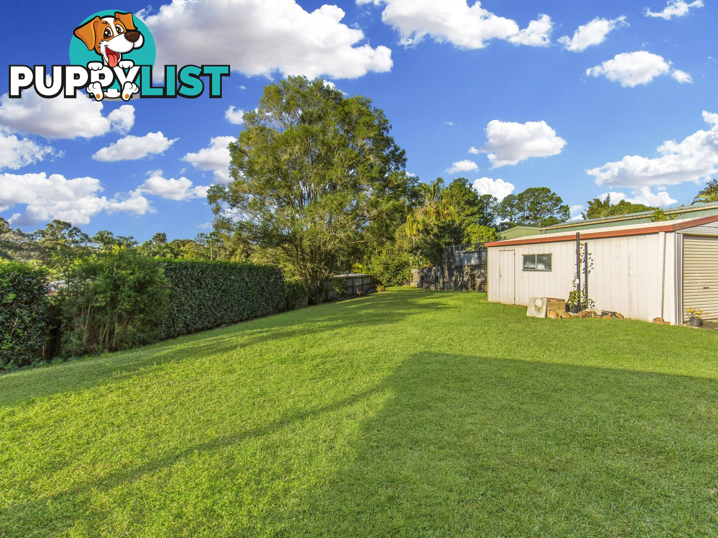 15 Poplar Place KALLANGUR QLD 4503