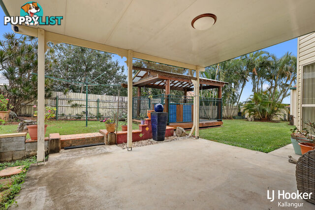 10 Raffindale Avenue DAKABIN QLD 4503