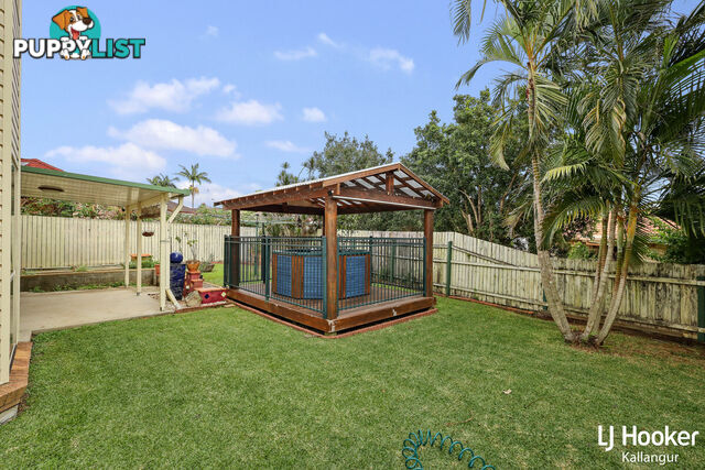 10 Raffindale Avenue DAKABIN QLD 4503