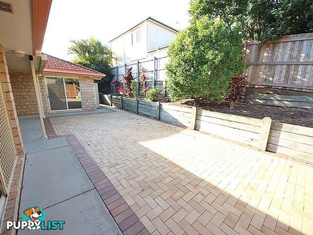 12 Lapwing Crescent MANGO HILL QLD 4509