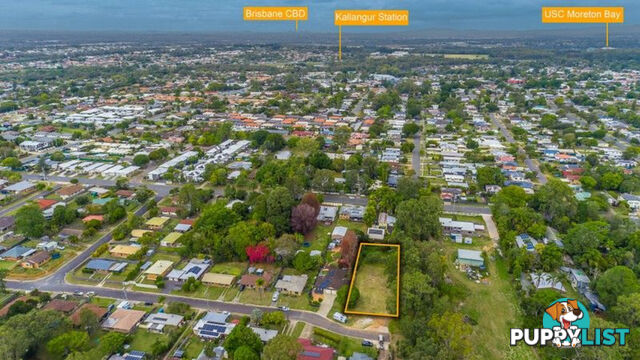31 Donnegal Drive KALLANGUR QLD 4503