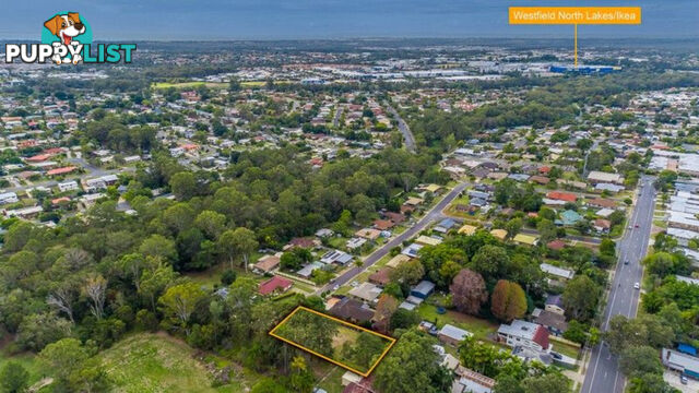 31 Donnegal Drive KALLANGUR QLD 4503