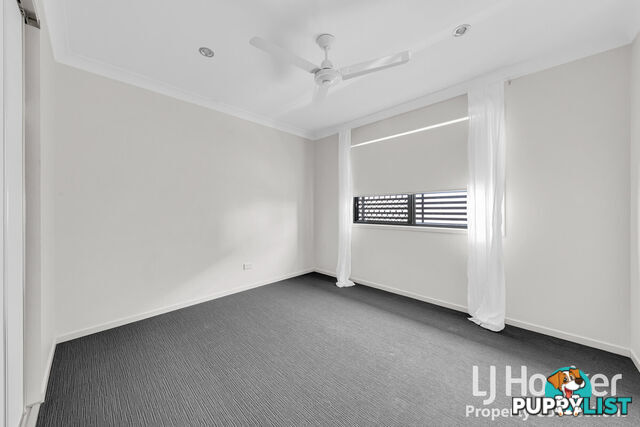 38 Tattler Street MANGO HILL QLD 4509