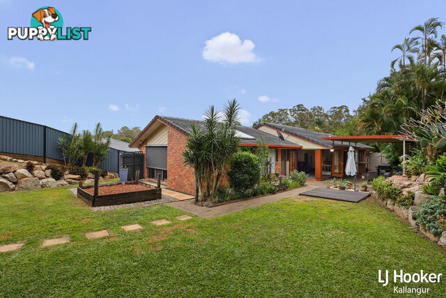 48 Eucumbene Drive PETRIE QLD 4502