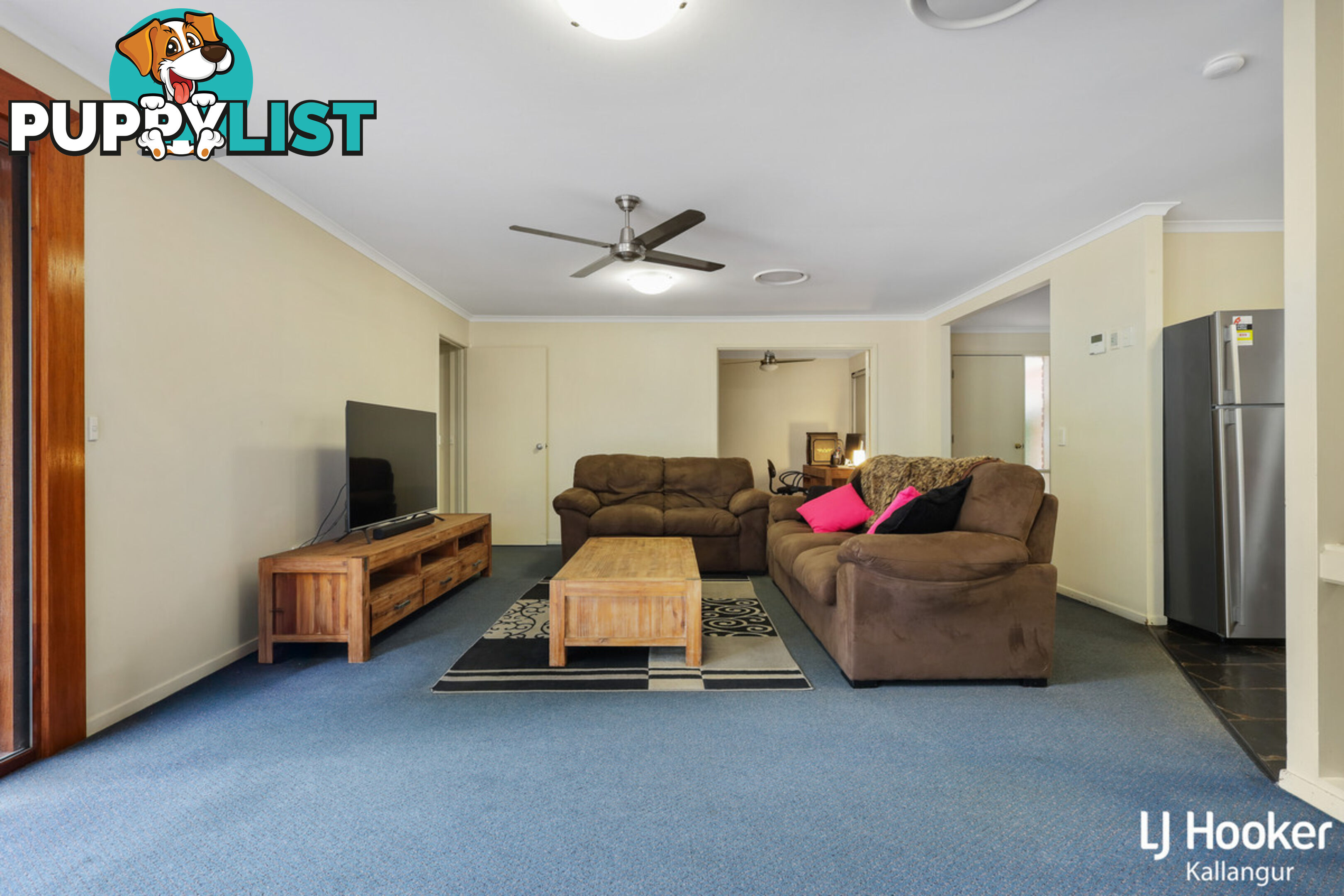 48 Eucumbene Drive PETRIE QLD 4502