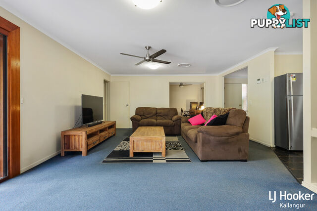 48 Eucumbene Drive PETRIE QLD 4502