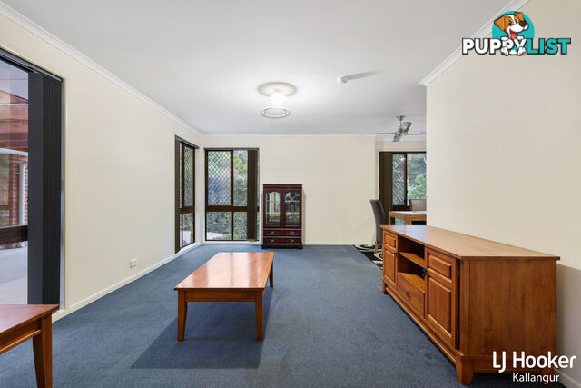 48 Eucumbene Drive PETRIE QLD 4502