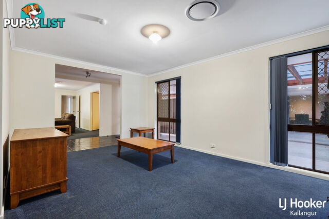 48 Eucumbene Drive PETRIE QLD 4502