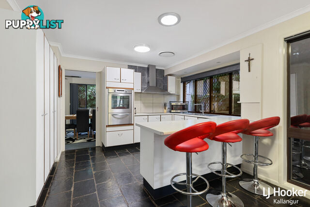 48 Eucumbene Drive PETRIE QLD 4502