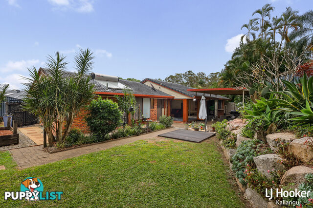 48 Eucumbene Drive PETRIE QLD 4502