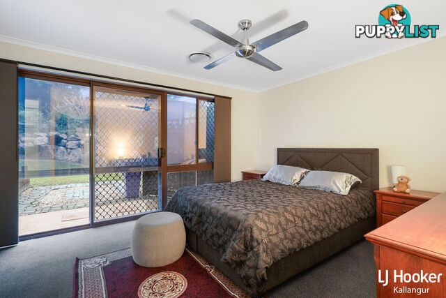 48 Eucumbene Drive PETRIE QLD 4502