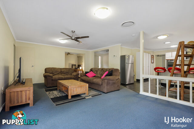 48 Eucumbene Drive PETRIE QLD 4502