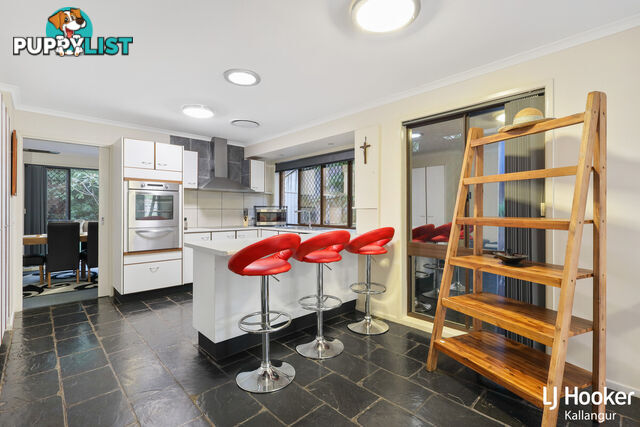 48 Eucumbene Drive PETRIE QLD 4502