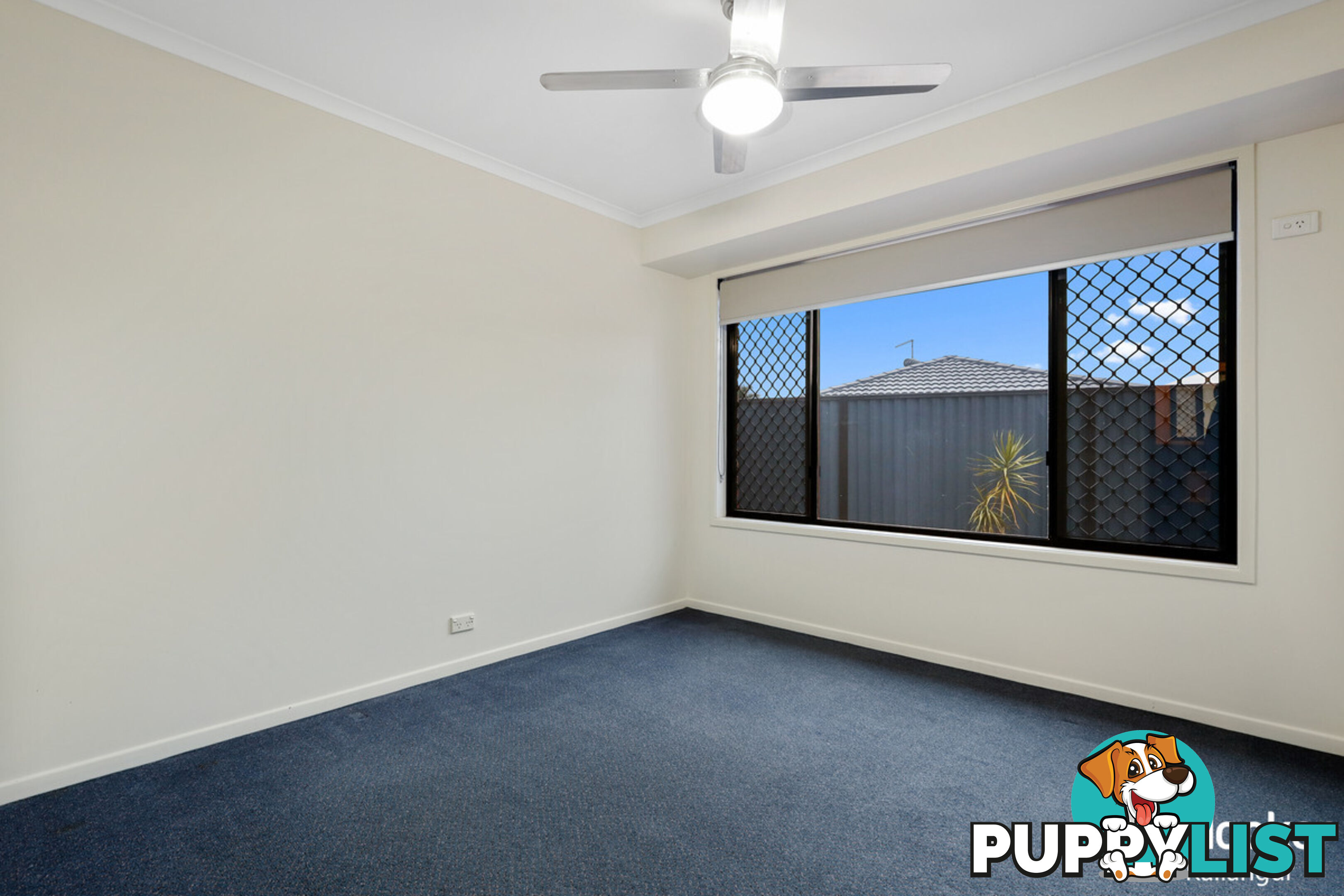 48 Eucumbene Drive PETRIE QLD 4502