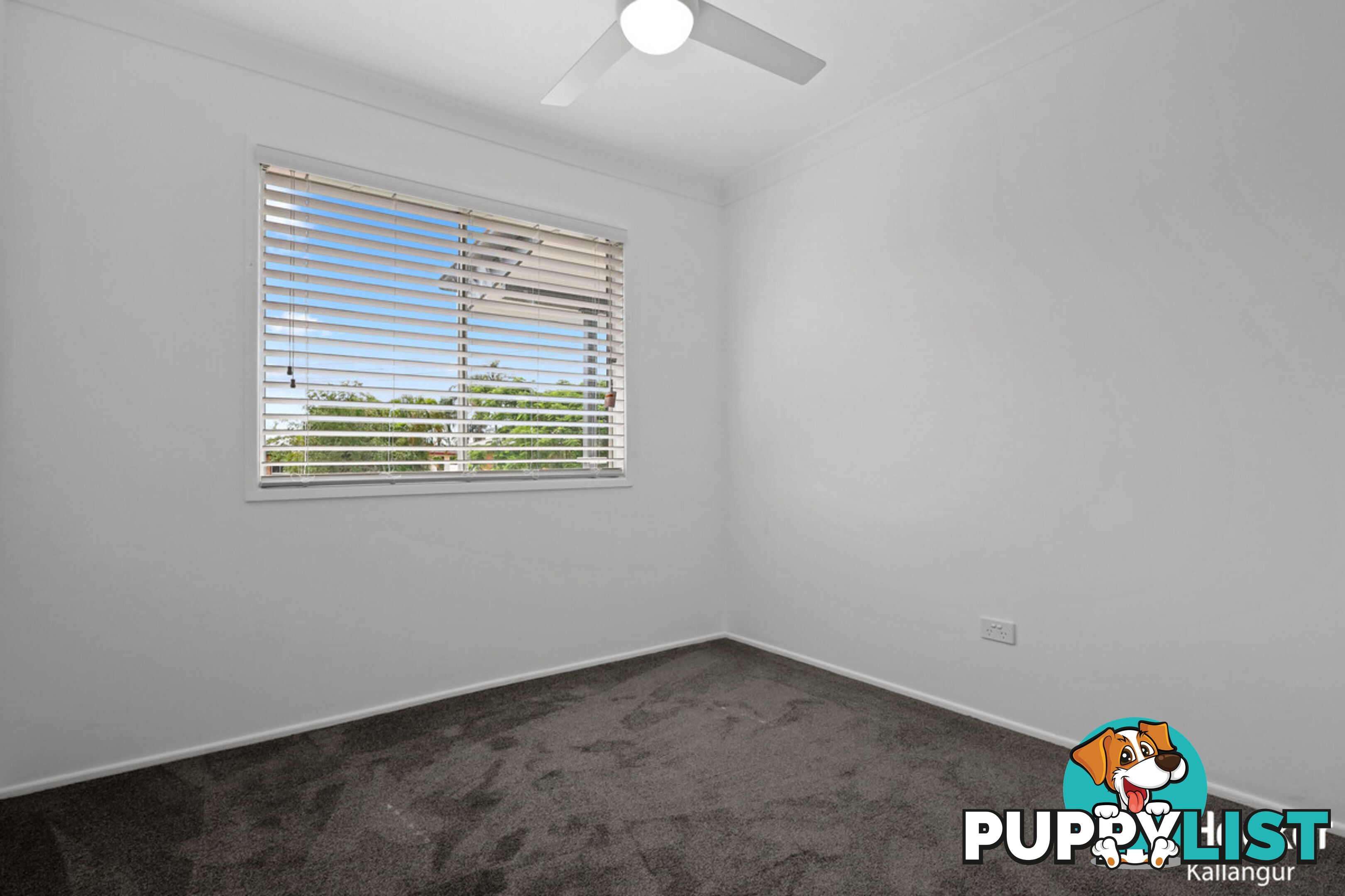 6 Gail Street KALLANGUR QLD 4503