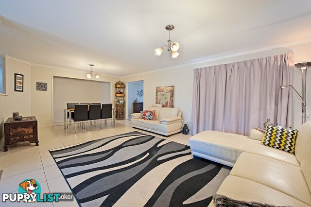 11 Cotter Court MURRUMBA DOWNS QLD 4503