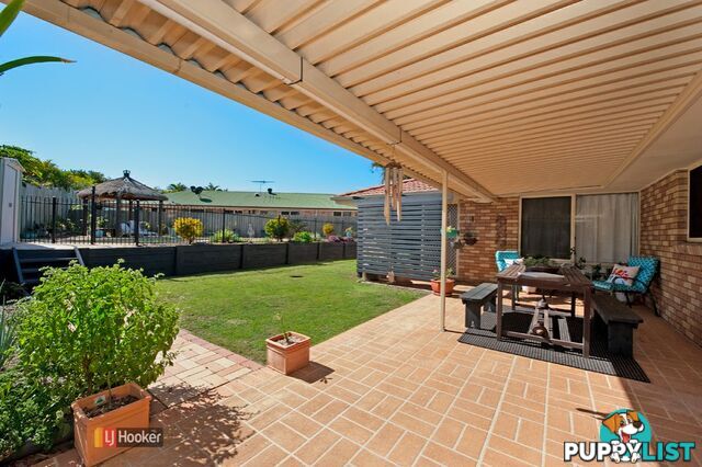 11 Cotter Court MURRUMBA DOWNS QLD 4503