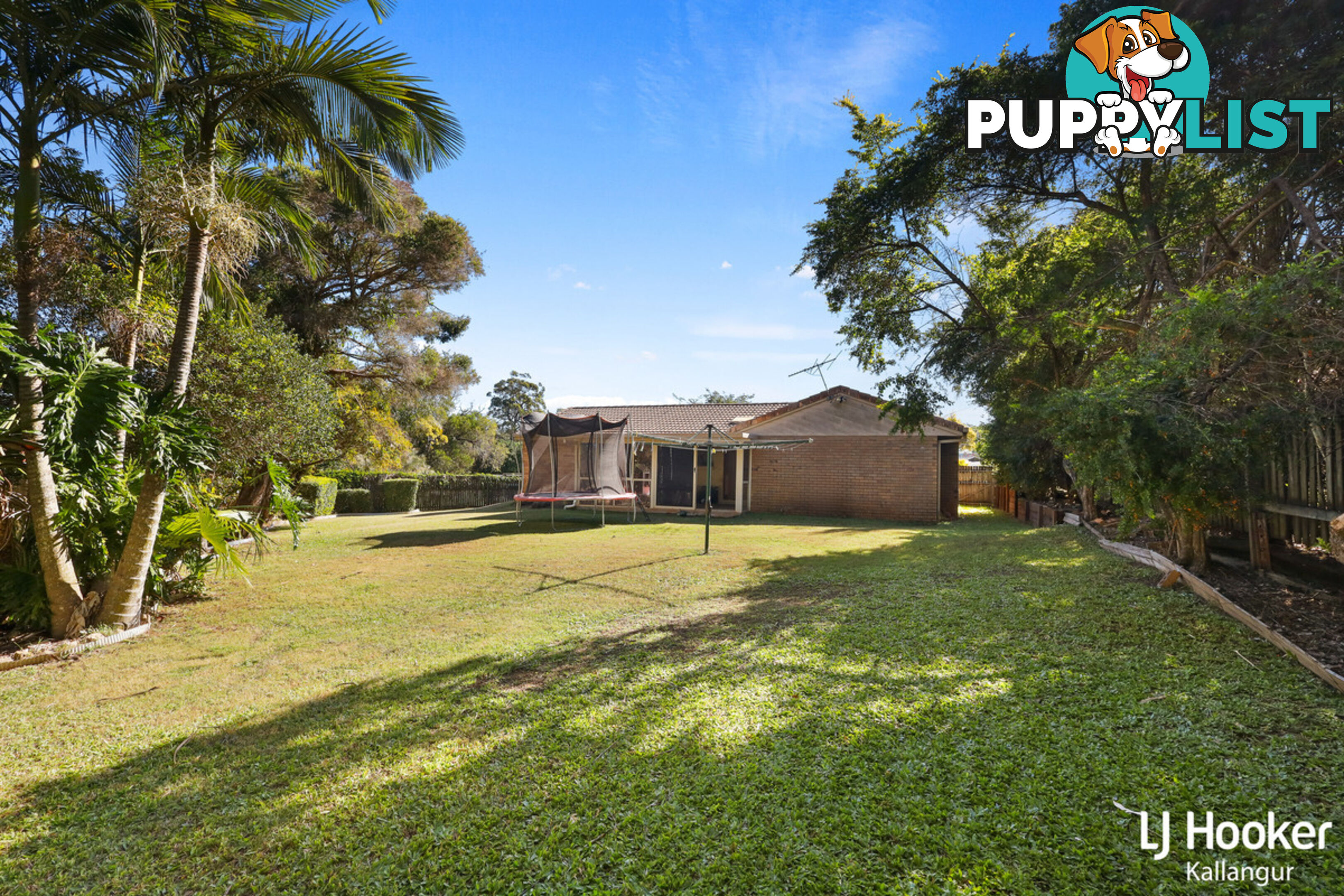 6 Lucas Court KALLANGUR QLD 4503
