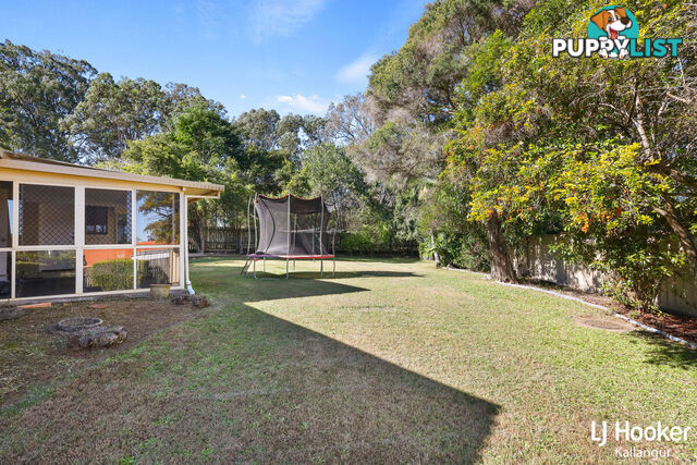 6 Lucas Court KALLANGUR QLD 4503