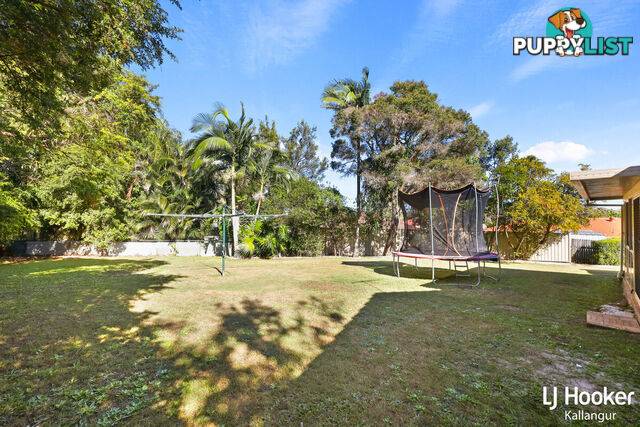 6 Lucas Court KALLANGUR QLD 4503