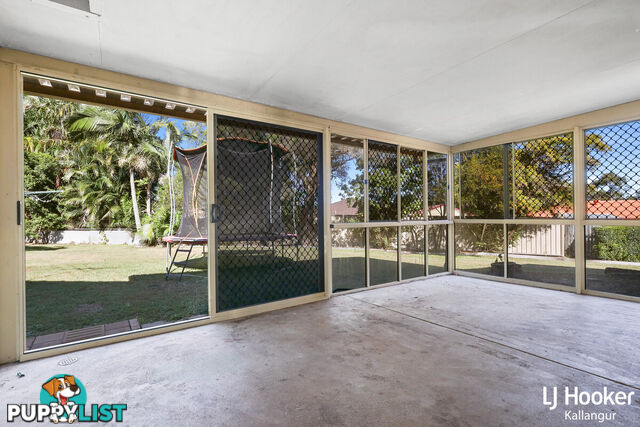 6 Lucas Court KALLANGUR QLD 4503