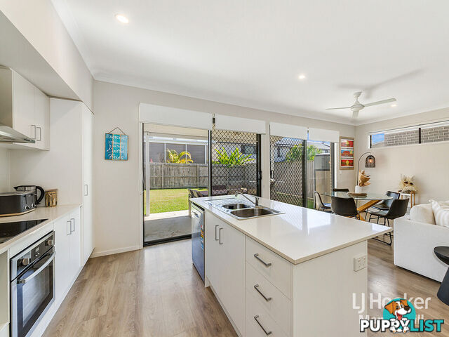 13 Cardew Street MANGO HILL QLD 4509