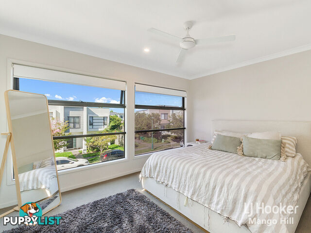 13 Cardew Street MANGO HILL QLD 4509