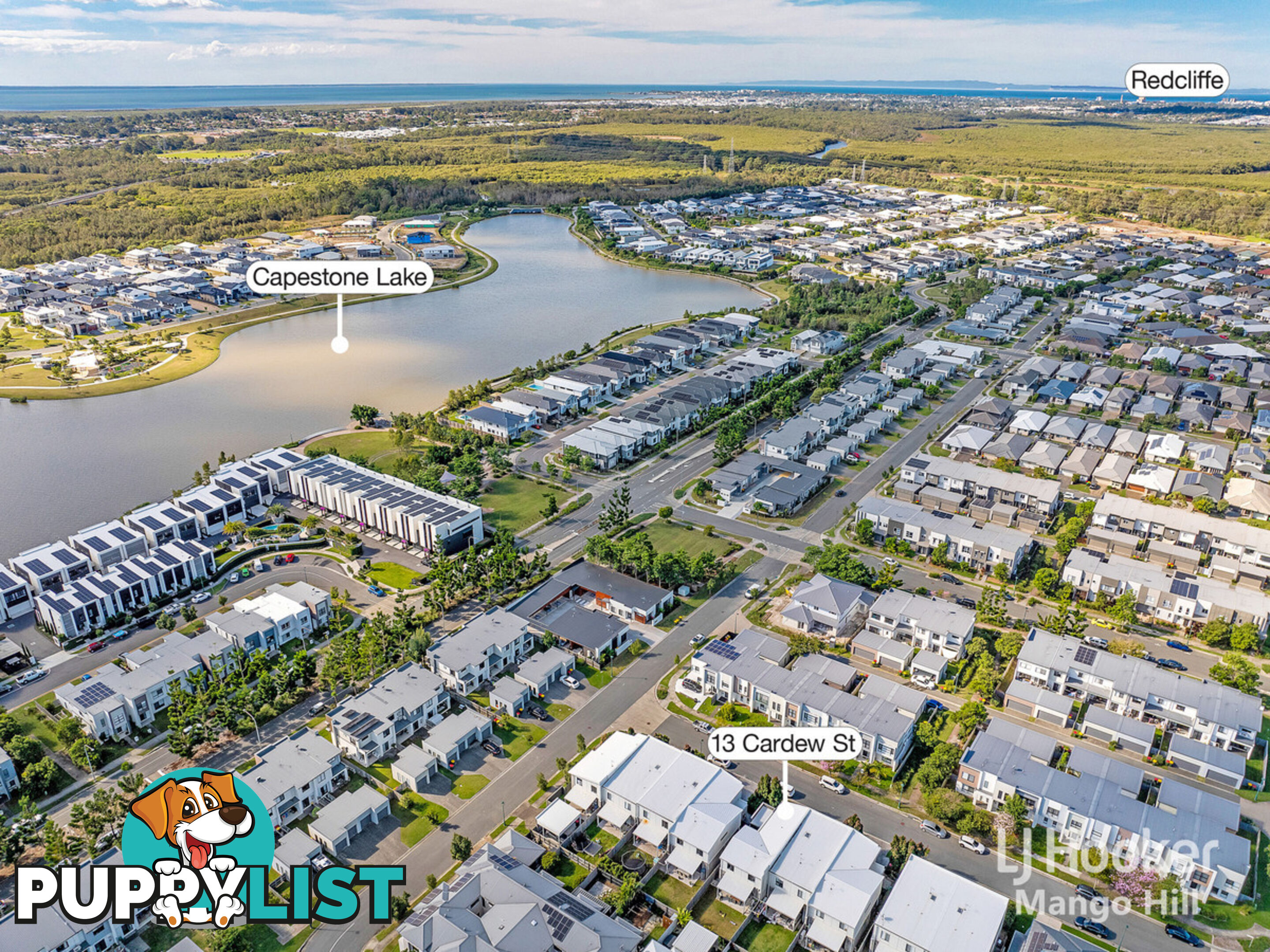13 Cardew Street MANGO HILL QLD 4509
