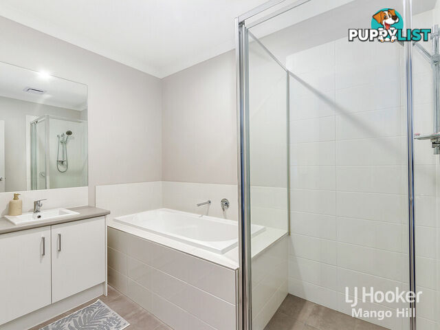 13 Cardew Street MANGO HILL QLD 4509