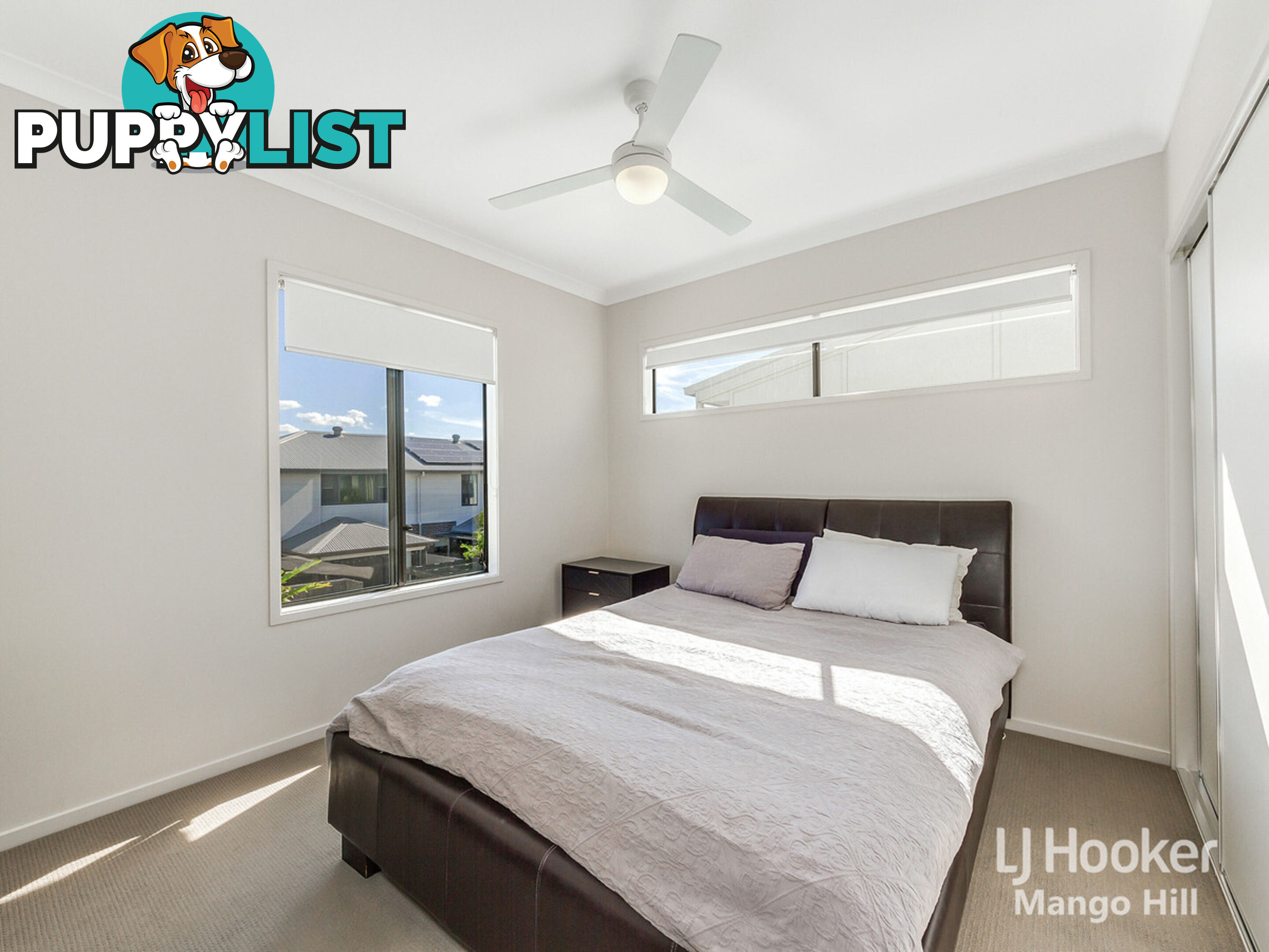 13 Cardew Street MANGO HILL QLD 4509