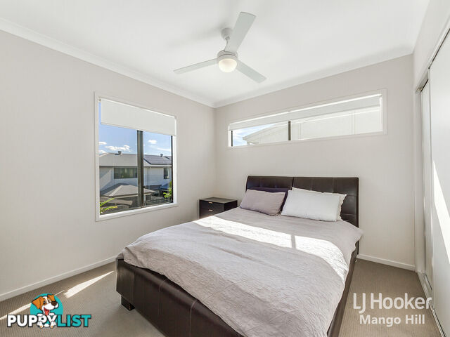 13 Cardew Street MANGO HILL QLD 4509