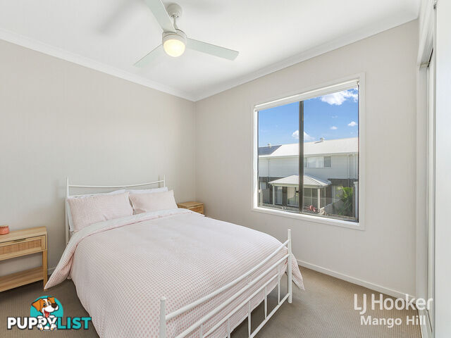 13 Cardew Street MANGO HILL QLD 4509