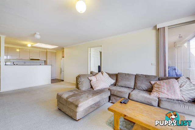 54A/17 Chandler Street BELCONNEN ACT 2617