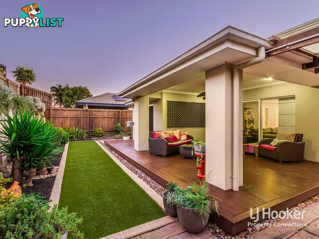 38 Vanilla Avenue GRIFFIN QLD 4503