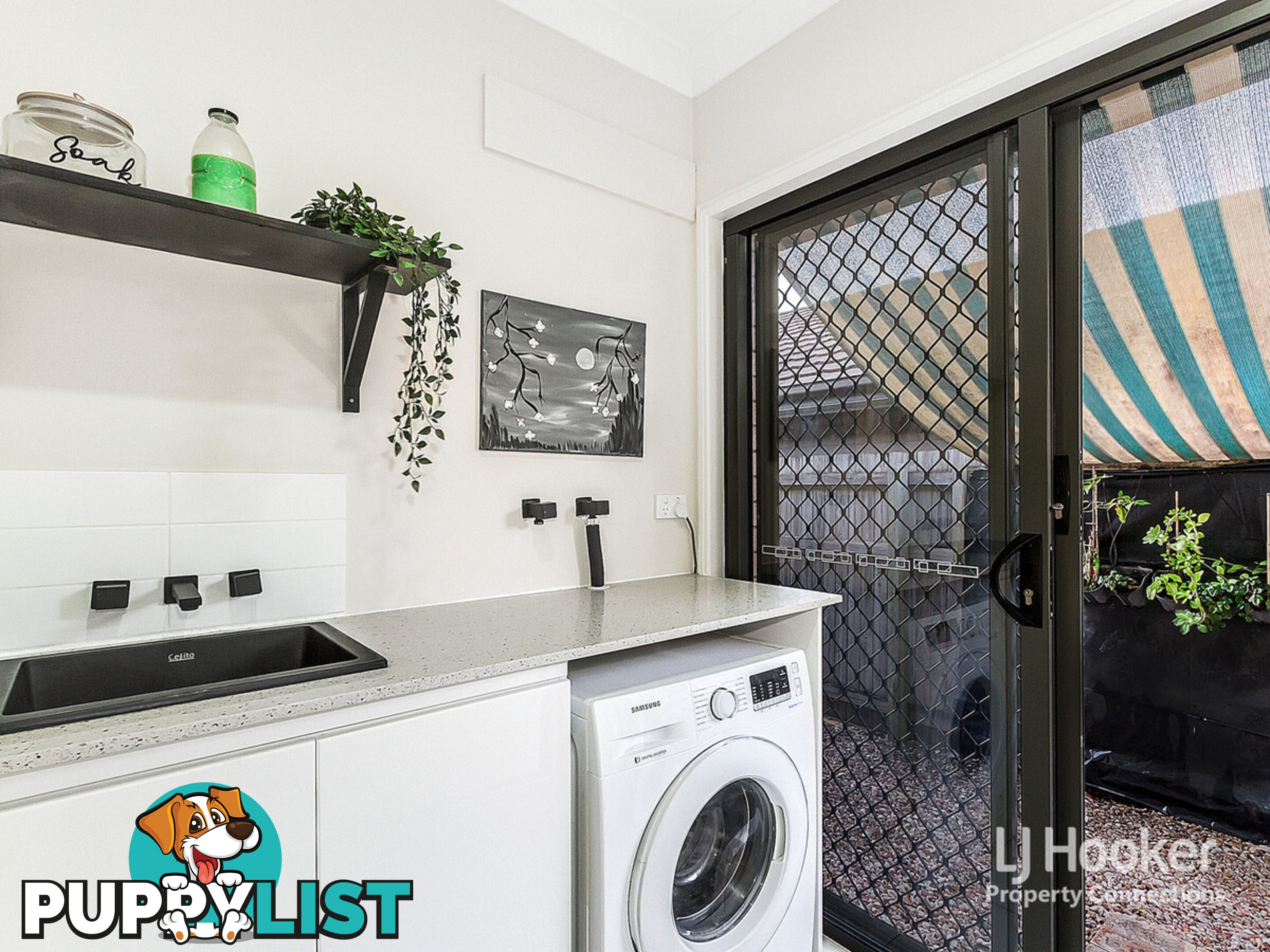 37 Elderflower Circuit GRIFFIN QLD 4503