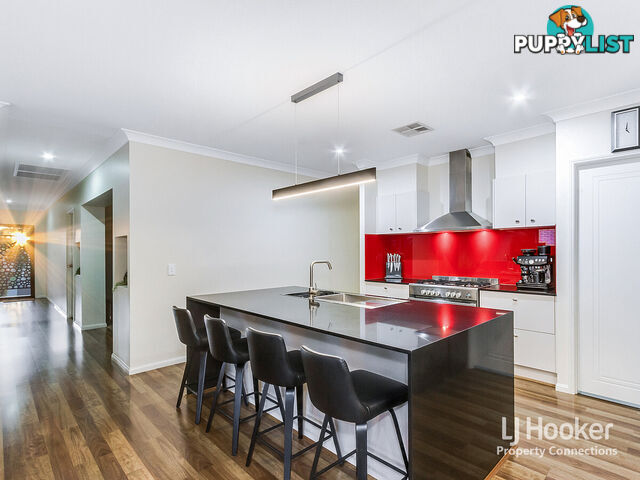 37 Elderflower Circuit GRIFFIN QLD 4503