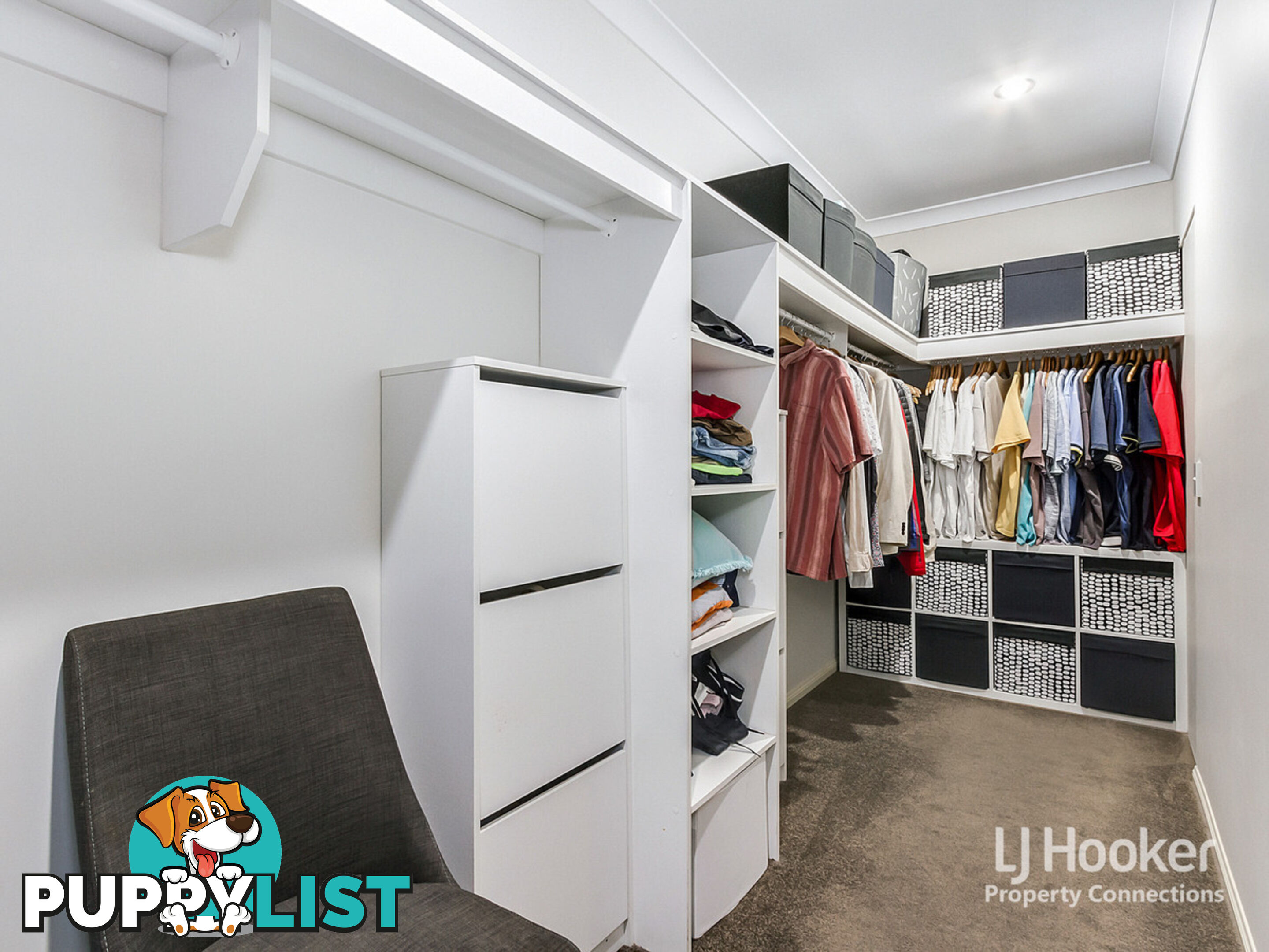 37 Elderflower Circuit GRIFFIN QLD 4503