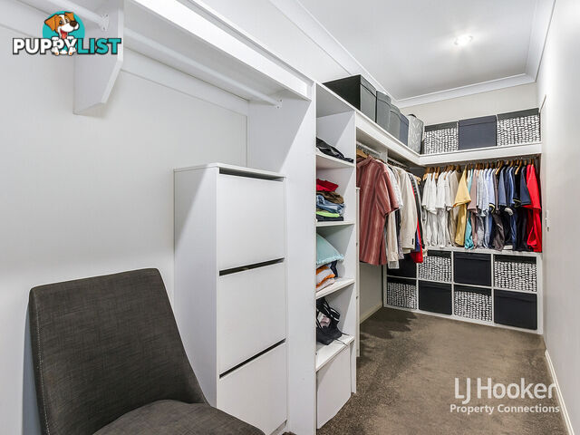 37 Elderflower Circuit GRIFFIN QLD 4503