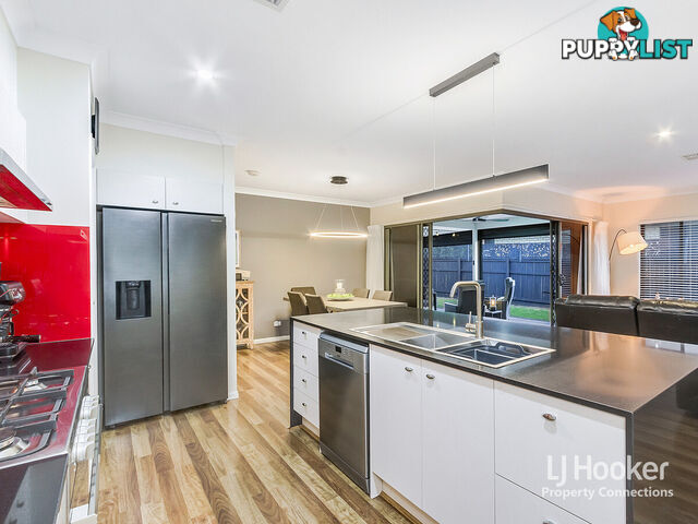37 Elderflower Circuit GRIFFIN QLD 4503